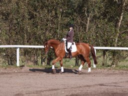 IMG_7772_web